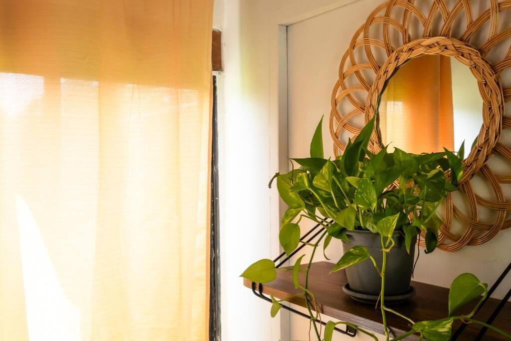 Apartamentos Turisticos - Boho Sai San Andrés Esterno foto